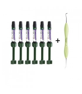 پکیج ویژه 6 عددی کامپوزیت Bisco -BODY