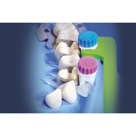 premolar or molar